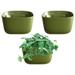 UooMi Eco Wall Planter Create a Plant Wall with Hanging Planters for Indoor or Outdoor Use (Olive 3 Pack)