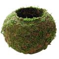 Moss Ball Flower Pot 6 Inch Bird Nest Shape Moss Ball Planter Green Bonsai Plant Holder Japanese Style Natural Planter Moss Weave Garden Decor Flower Holder Moss Ball Planter