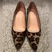 J. Crew Shoes | J Crew Chunky Heel, Pumps, Slip-On, Leopard Print, Pattern, Brown | Color: Black/Brown | Size: 9