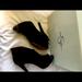 Jessica Simpson Shoes | Jessica Simpson Abbear Booties Black Peep Toe Heel Size 7.0m | Color: Black | Size: 7