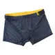 Men Ice Silk Boxer Trunks Bulge Pouch Underpants Male Breathable Striped Panties Soft Boxer Briefs