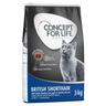 Prezzo speciale! 3 kg Concept for Life Adult - British Shorthair 3 kg