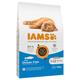 10kg Advanced Nutrition Kitten poisson de mer IAMS Croquettes pour chat : -10 % !