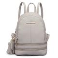 Miss Lulu Rucksack Daypack Damen Tasche Umhängetasche Rucksackhandtaschen Pu Leder Wasserdichte Schulrucksäcke Schultasche Kleine Geldbörse (Grau)