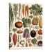 Fenyluxe Vintage Vegetables Illustration: Farmhouse Kitchen Wall Art Decoration & Decor -Art Print Signs Aesthetic Pictures & Unique Art Wall Poster Decorations for the Kitchen 16x20 Inch