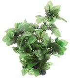 Guichaokj Plastic Aquarium Small Complete for Fish Aquariums and Bowls Tank Aquatic Plants Fake Decorate