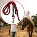 kesoto Horse Lead Rope Braided Horse Rope Swivel Buckle Durable Horse Leading Rope Horse Leads with Snap Hook Equestrian Equipment Red 3Meters