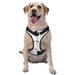 Coaee Doodle Cute Cat Dog Harnesses Vest No-Pull with Traction Rope for Small Medium and Large Dogs - Medium