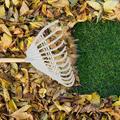 Kehuo Plastic Rake Thickened Raking Grass Rake Agricultural Rubber Rake Withered Leaves Rake Rake Leaf Rake Leaves Rake Iron Rake Gardening Tools Outdoor items Sports Items