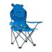 Kids Folding Camping Chair Lawn Chairs Picnic Chair Oxford Mat Chair Foldable Camp Chair Beach Chair for Travel Outdoor Hiking Girls Boys Blue