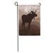 LADDKE Brown Silhouette Animated Moose in Wild Nature Landscape Elk Mist Woods Garden Flag Decorative Flag House Banner 12x18 inch