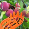 1pc frischer Obstpflück korb Garten fänger Sammler zum Pflücken von Äpfeln Mango