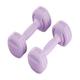 Dumbbel Fitness Dumbbells For Men And Women Home Exercise Dumbbells For Arm Muscle Training Home Fitness Equipment Barbell (Color : Purple, Size : 2kg)