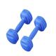 Dumbbel Fitness Dumbbells For Men And Women Home Exercise Dumbbells For Arm Muscle Training Home Fitness Equipment Barbell (Color : Blue, Size : 10kg)