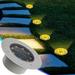 RnemiTe-amo Solar Ground Lights Outdoor Waterproof 2024 New Upgrade Deck Lights Solar Powered 10 LED Solar Garden Lights LED Landscape Lighting for Pathway Walkway Patio Yard Lawn Driveway