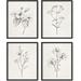 U-SHARE Botanical Prints - Set of 4 Flower Poster Flower Pictures Wall Decor Floral Prints Wall Flower Pictures Flowers Posters Flower Prints Floral Botanical Prints (16x20 Framed Black)