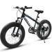 20 Inch Fat Tire Bike Adult/Youth 7 Speed Mountain Bike Dual Disc Brake High-Carbon Steel Frame Front Suspension Mountain Trail Bike Urban Commuter City Bicycle
