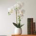 Fake Flowers with Vase Faux Orchid Artificial Flowers in Vase Fake Orchid Fake Plant Artificial Orchids Artificial Plants for Home Decor Indoor Orquideas Artificiales Grandes - White