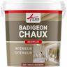 Badigeon à la chaux décoration intérieure extérieur maison badiplus - 20 kg (jusqu'à 100 m²)