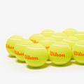 Wilson Starter Orange Ball 12 Pack