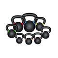 We R Sports® Premium Kettlebells 4kg To 48kg Home Gym Fitness Exercise Kettlebell Training (24 Kilograms)