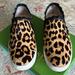 Kate Spade Shoes | Kate Spade Lilly Leopard Print Haircalf Slip On Sneakers | Color: Black/Brown | Size: 8.5