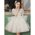 Girl Host Piano Performance Costume Princess Dresses Flower Girl Lace Sequins Elegant Beautiful