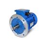 Motore Elettrico Monofase Hp 0,75 Kw 0,55 Giri 900 Mec80 Flangiato B5 Diametro Albero 19 Mm Flangia