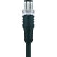 Escha - 8047008 Connettore confezionato per sensore o attuatore M12 Spina dritta 5.00 m Numero di