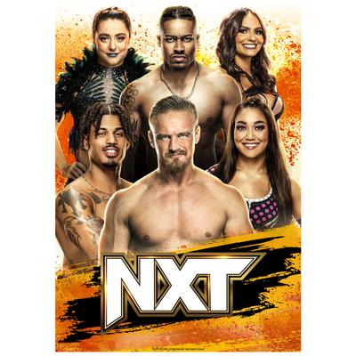 WWE NXT Weekly Programming Poster – ungerahmt A3 Image