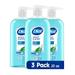 Dial Body Wash Refresh NG01 & Renew Spring Water 23 fl oz (Pack of 3)