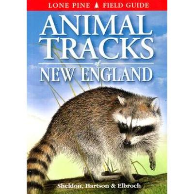 Animal Tracks Of New England (Animal Tracks Guides)