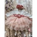 Blush Pink Peach Flower Girl Dress, Long Sleeves Lace Top, Baby Toddler Dress, Tulle Tutu Dress, Holiday Dress