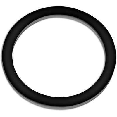 Sunsun - Sun Sun Ersatzteil für CUV-636 Teichklärer – Gummiring – für Teichfilter, uv Leuchtmittel, Image