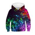 Sweat à capuche et Sweat Pullover Garçon Enfants manche longue 3D effet Graphic à imprimé arc-en-ciel 3D Print Avec poches Noir Enfants Hauts Actif basique 4-12 ans