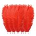 Beppter 10 Feathers 10 Pcs Multicolor Plumage for Wedding Party Centerpieces Flower Arrangement Home Decoration Diy Big Floating Plume Hair Craft Decoration Wedding Plumage