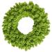 Vickerman 36" Flocked Lime Fir Artificial Christmas Wreath, Unlit - Flocked Lime
