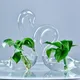Vase à fleurs en verre transparent en forme de fzShape vase britannique mignon pots de plantes