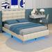 Latitude Run® Queen Size Velvet Platform Bed w/ LED Frame & Stylish Mental Bed Legs Upholstered/Velvet in White/Brown | Wayfair
