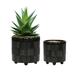 Wrought Studio™ Succulent Pots, 6+8 Inch Indoor Plant Pot w/ Foot, Modern Round Decorative Flower Pot, Gifts For Mom, Set Of 2,Textile Black | Wayfair