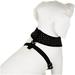 Puppia Dotty Dog Harness Over-The-Head No Pull No Choke Walking Training Adjustable for Small & Medium Dog Large Black