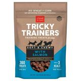 Tricky Trainers 14 oz Soft and Chewy Salmon Treats