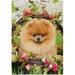 Hidove Garden Flag Pomeranian Dog in Park Double-Sided Printed House Sports Flag 28x40 in Polyester Decorative Flags for Courtyard Garden Flowerpot