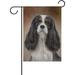 Hidove Dog Cavalier King Spaniel Double-Sided Printed Garden House Sports Flag - 12x18(in) Polyester Decorative Flags for Courtyard Garden Flowerpot