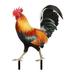 Rooster Decor (2D) Acrylic Yard Chicken Decorations Outdoor Garden Statues Chicken Ornaments Yard Art for Backyard Lawn Pathway Garden Lawn (Not 3D)