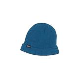 Patagonia Beanie Hat: Teal Accessories