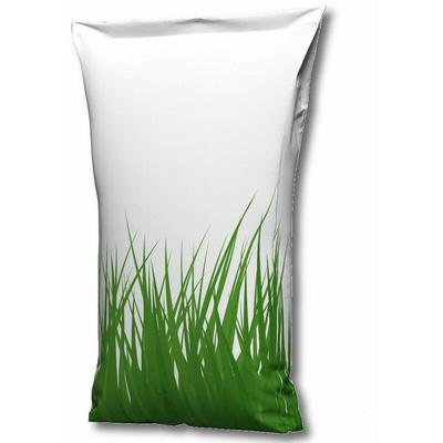 Deutsches Weidelgras corsica 25 kg Zierrasen Gebrauchsrasen Strapazierrasen Image
