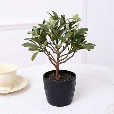 apportez une élégance intemporelle à votre maison avec des plantes en pot réalistes à feuilles de magnolia, parfaites pour rehausser votre décoration intérieure avec une touche de beauté naturelle