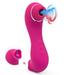 Sucking 2 IN 1 Sucking 2024 New Upgraded Women Rose with 10 Gears Rose Flower for Women Vibrator for Women thrill seeking