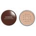 COVERGIRL Professional Loose Finishing Powder Translucent Light Tone Sets Makeup Controls Shine Won t Clog Pores 0.7 Ounce (Packaging May Vary)